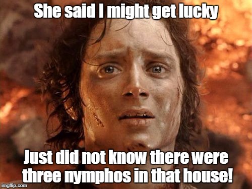 It's Finally Over Meme | She said I might get lucky; Just did not know there were three nymphos in that house! | image tagged in memes,its finally over | made w/ Imgflip meme maker