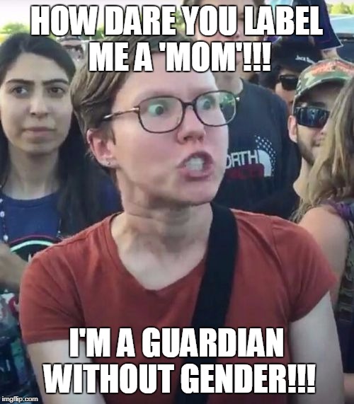 HOW DARE YOU LABEL ME A 'MOM'!!! I'M A GUARDIAN WITHOUT GENDER!!! | image tagged in triggered | made w/ Imgflip meme maker