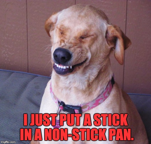 laughing dog |  I JUST PUT A STICK IN A NON-STICK PAN. | image tagged in laughing dog | made w/ Imgflip meme maker