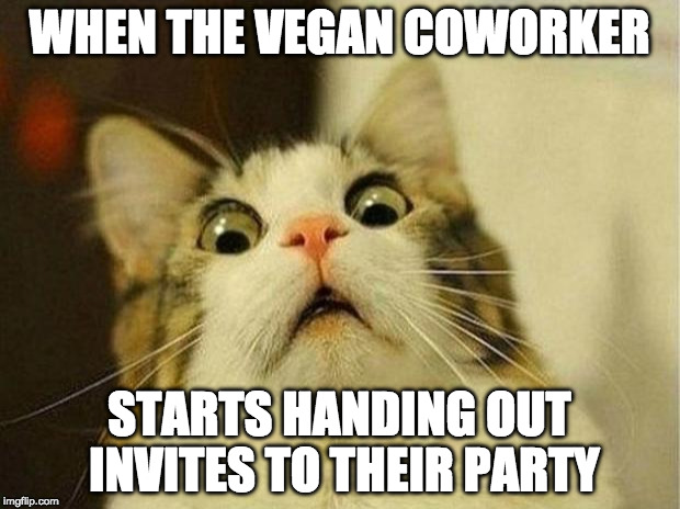Scared Cat Meme | WHEN THE VEGAN COWORKER; STARTS HANDING OUT INVITES TO THEIR PARTY | image tagged in memes,scared cat | made w/ Imgflip meme maker