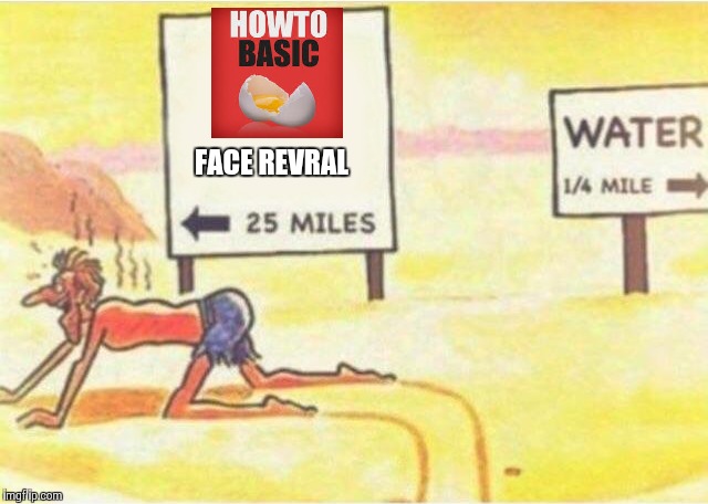 How to basic |  FACE REVRAL | image tagged in funny,memes,how to basic,face reveal,25 miles,egg | made w/ Imgflip meme maker