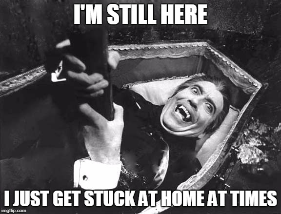 I'M STILL HERE I JUST GET STUCK AT HOME AT TIMES | made w/ Imgflip meme maker