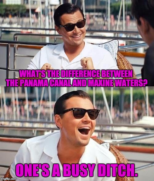 Leonardo Dicaprio Wolf Of Wall Street | WHAT'S THE DIFFERENCE BETWEEN THE PANAMA CANAL AND MAXINE WATERS? ONE'S A BUSY DITCH. | image tagged in memes,leonardo dicaprio wolf of wall street | made w/ Imgflip meme maker