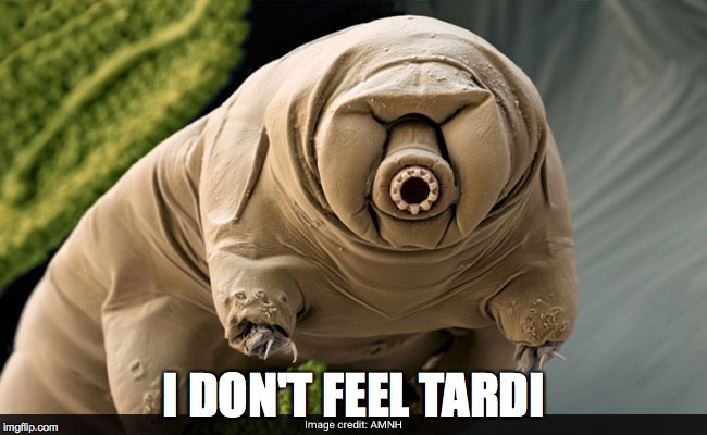 I DON'T FEEL TARDI | image tagged in tardi speaks | made w/ Imgflip meme maker