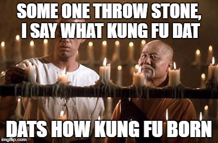 kung fu grasshopper | SOME ONE THROW STONE, I SAY WHAT KUNG FU DAT; DATS HOW KUNG FU BORN | image tagged in kung fu grasshopper | made w/ Imgflip meme maker