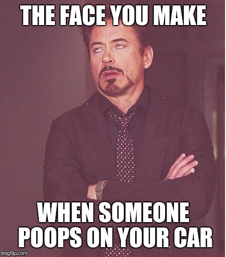 Face You Make Robert Downey Jr Meme | THE FACE YOU MAKE; WHEN SOMEONE POOPS ON YOUR CAR | image tagged in memes,face you make robert downey jr | made w/ Imgflip meme maker