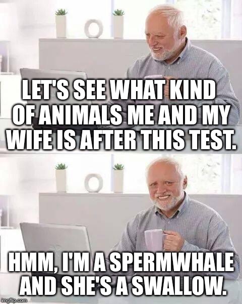 Hide the Pain Harold Meme | LET'S SEE WHAT KIND OF ANIMALS ME AND MY WIFE IS AFTER THIS TEST. HMM, I'M A SPERMWHALE AND SHE'S A SWALLOW. | image tagged in memes,hide the pain harold | made w/ Imgflip meme maker