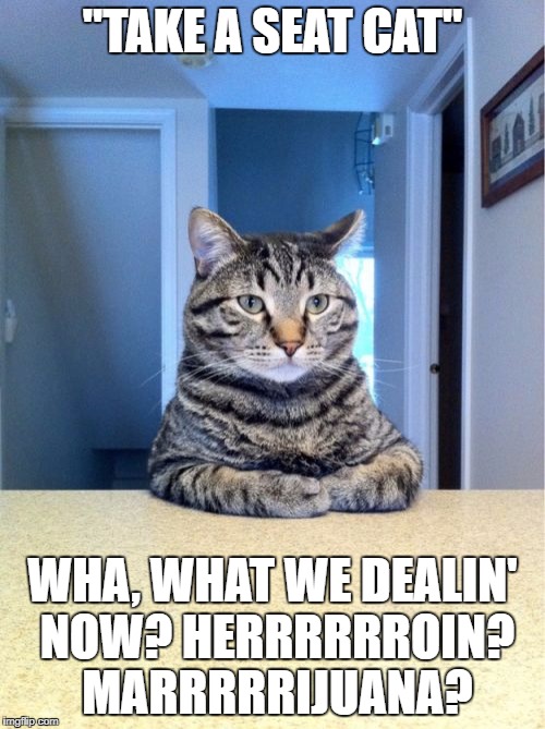 Take A Seat Cat Meme | "TAKE A SEAT CAT"; WHA, WHAT WE DEALIN' NOW? HERRRRRROIN? MARRRRRIJUANA? | image tagged in memes,take a seat cat | made w/ Imgflip meme maker