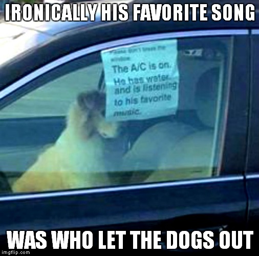 If you are going to leave your dog with the a/c on that's cool. still not cool if it's your kid though ;) | IRONICALLY HIS FAVORITE SONG; WAS WHO LET THE DOGS OUT | image tagged in dog left in car,dog,car,not bad | made w/ Imgflip meme maker