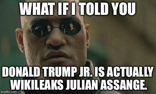 Donald Jr. is Wikileaks Julian Assange | WHAT IF I TOLD YOU; DONALD TRUMP JR. IS ACTUALLY WIKILEAKS JULIAN ASSANGE. | image tagged in memes,matrix morpheus,julian assange,donald trump jr,wikileaks,trump russia collusion | made w/ Imgflip meme maker