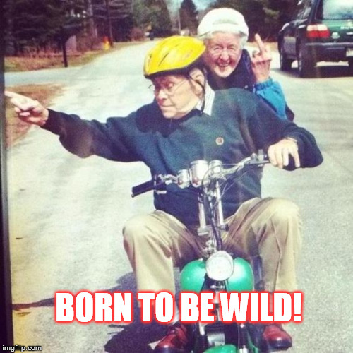 BORN TO BE WILD! | made w/ Imgflip meme maker