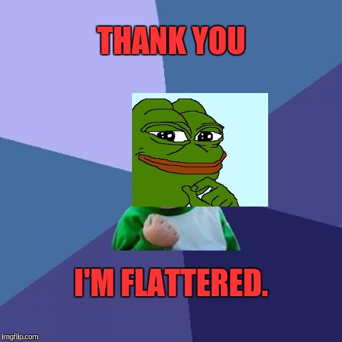 Success Kid Meme | THANK YOU I'M FLATTERED. | image tagged in memes,success kid | made w/ Imgflip meme maker