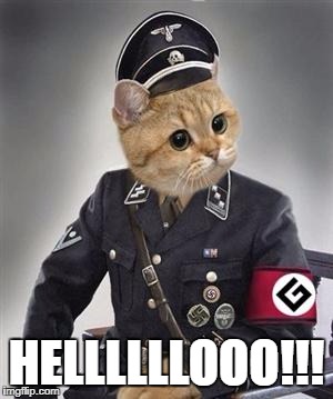 Grammar Nazi Cat | HELLLLLLOOO!!! | image tagged in grammar nazi cat | made w/ Imgflip meme maker