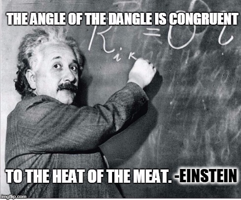 The Angle of the Dangle is Congruent to the Heat of the Meat | -EINSTEIN | image tagged in vince vance,albert einstein,einstein's theory of relativity,the angle of the dangle,is congruent to the heat of the meat,memes | made w/ Imgflip meme maker