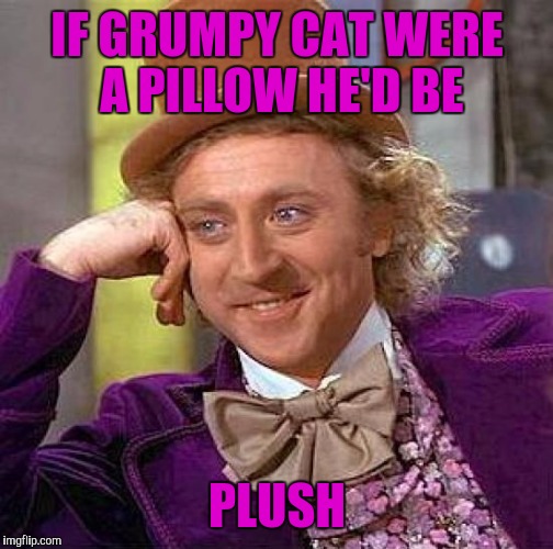 Creepy Condescending Wonka Meme | IF GRUMPY CAT WERE A PILLOW HE'D BE PLUSH | image tagged in memes,creepy condescending wonka | made w/ Imgflip meme maker