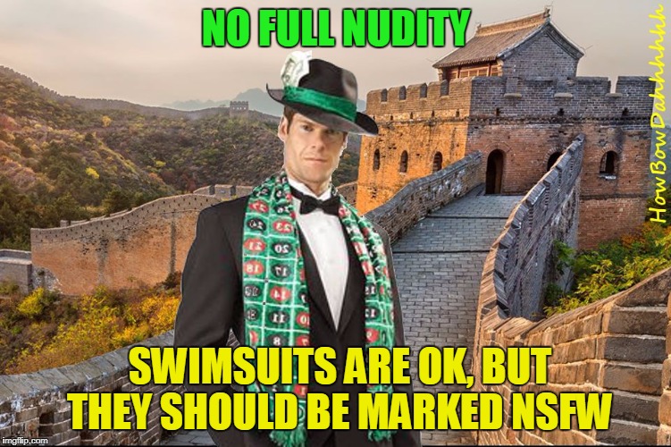 Merciful Mod's Submission Tips | NO FULL NUDITY; SWIMSUITS ARE OK, BUT THEY SHOULD BE MARKED NSFW | image tagged in merciful mod in china,memes,imgflip,submissions | made w/ Imgflip meme maker