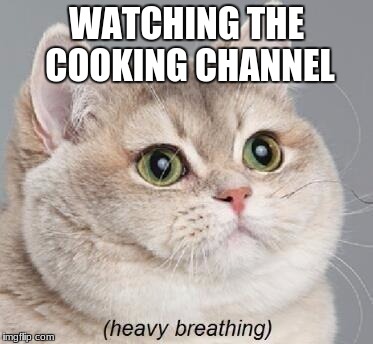 flavor town indeed | WATCHING THE COOKING CHANNEL | image tagged in memes,heavy breathing cat | made w/ Imgflip meme maker