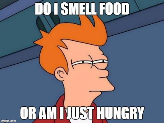 Futurama Fry Meme | DO I SMELL FOOD; OR AM I JUST HUNGRY | image tagged in memes,futurama fry | made w/ Imgflip meme maker