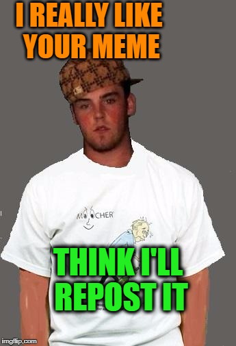 warmer season Scumbag Steve | I REALLY LIKE YOUR MEME THINK I'LL REPOST IT | image tagged in warmer season scumbag steve | made w/ Imgflip meme maker