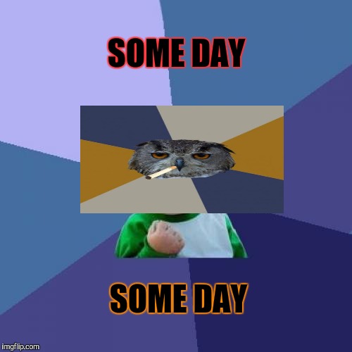 Success Kid Meme | SOME DAY SOME DAY | image tagged in memes,success kid | made w/ Imgflip meme maker
