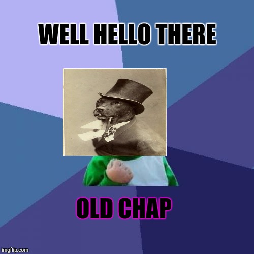 Success Kid Meme | WELL HELLO THERE OLD CHAP | image tagged in memes,success kid | made w/ Imgflip meme maker