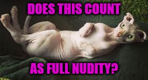 DOES THIS COUNT AS FULL NUDITY? | made w/ Imgflip meme maker