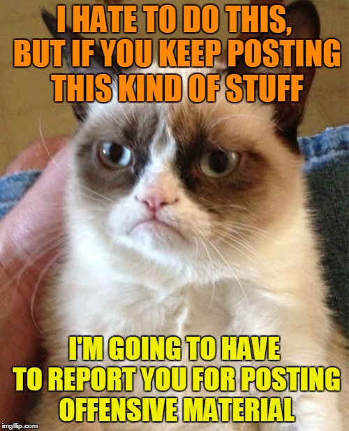 Grumpy Cat Meme | I HATE TO DO THIS, BUT IF YOU KEEP POSTING THIS KIND OF STUFF I'M GOING TO HAVE TO REPORT YOU FOR POSTING OFFENSIVE MATERIAL | image tagged in memes,grumpy cat | made w/ Imgflip meme maker