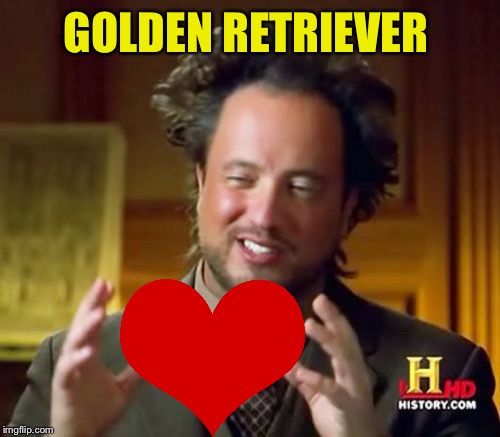 Ancient Aliens Meme | GOLDEN RETRIEVER | image tagged in memes,ancient aliens | made w/ Imgflip meme maker
