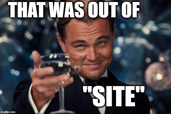 Leonardo Dicaprio Cheers Meme | THAT WAS OUT OF "SITE" | image tagged in memes,leonardo dicaprio cheers | made w/ Imgflip meme maker