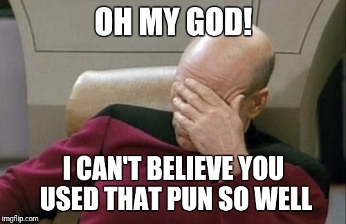 Captain Picard Facepalm Meme | OH MY GOD! I CAN'T BELIEVE YOU USED THAT PUN SO WELL | image tagged in memes,captain picard facepalm | made w/ Imgflip meme maker