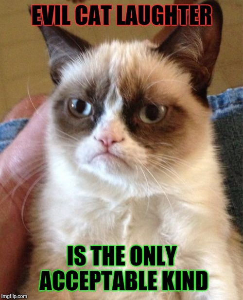 Grumpy Cat Meme | EVIL CAT LAUGHTER IS THE ONLY ACCEPTABLE KIND | image tagged in memes,grumpy cat | made w/ Imgflip meme maker