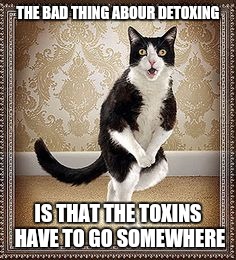 cat pee pee dance | THE BAD THING ABOUR DETOXING; IS THAT THE TOXINS HAVE TO GO SOMEWHERE | image tagged in cat pee pee dance | made w/ Imgflip meme maker
