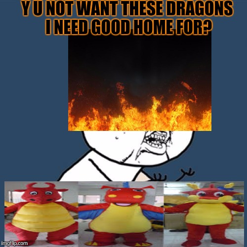 They look harmless enough. :D | Y U NOT WANT THESE DRAGONS I NEED GOOD HOME FOR? | image tagged in funny,y u no,dragons,fire,adoption,memes | made w/ Imgflip meme maker