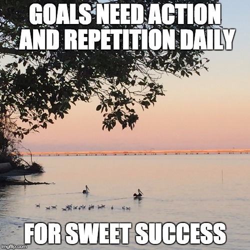 GOALS NEED ACTION AND REPETITION DAILY; FOR SWEET SUCCESS | image tagged in sucess,goals,life goals,inspirational,inspirational quote,motivational | made w/ Imgflip meme maker