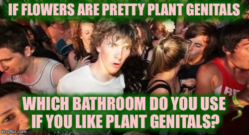 Sudden Clarity Clarence Meme | IF FLOWERS ARE PRETTY PLANT GENITALS; WHICH BATHROOM DO YOU USE IF YOU LIKE PLANT GENITALS? | image tagged in memes,sudden clarity clarence | made w/ Imgflip meme maker
