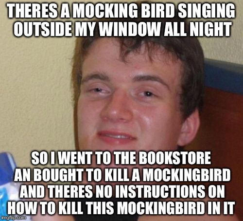 10 Guy Meme | THERES A MOCKING BIRD SINGING OUTSIDE MY WINDOW ALL NIGHT; SO I WENT TO THE BOOKSTORE AN BOUGHT TO KILL A MOCKINGBIRD AND THERES NO INSTRUCTIONS ON HOW TO KILL THIS MOCKINGBIRD IN IT | image tagged in memes,10 guy | made w/ Imgflip meme maker