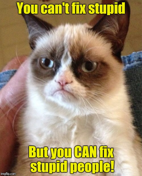 Snip, snip! | You can't fix stupid; But you CAN fix stupid people! | image tagged in memes,grumpy cat,stupid people | made w/ Imgflip meme maker