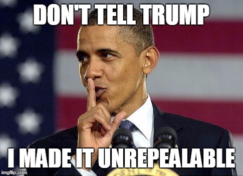 Obama Shhhhh | DON'T TELL TRUMP; I MADE IT UNREPEALABLE | image tagged in obama shhhhh | made w/ Imgflip meme maker