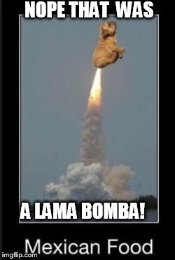 NOPE THAT  WAS A LAMA BOMBA! | made w/ Imgflip meme maker