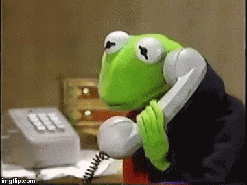 Kermit on the phone | image tagged in gifs | made w/ Imgflip video-to-gif maker