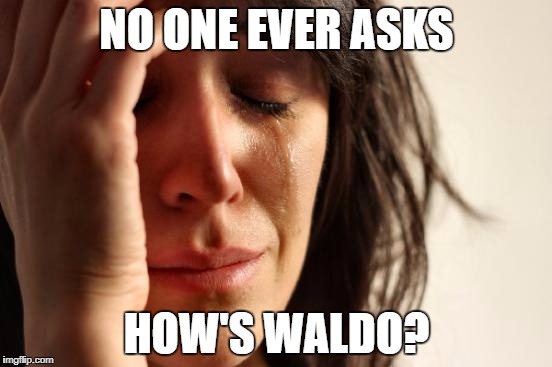 First World Problems Meme | NO ONE EVER ASKS; HOW'S WALDO? | image tagged in memes,first world problems | made w/ Imgflip meme maker
