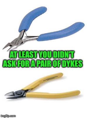 AT LEAST YOU DIDN'T ASK FOR A PAIR OF DYKES | made w/ Imgflip meme maker