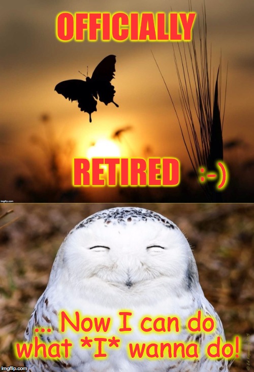 Retirement Is Freedom Baby! | :-); ... Now I can do what *I* wanna do! | image tagged in time for the music | made w/ Imgflip meme maker