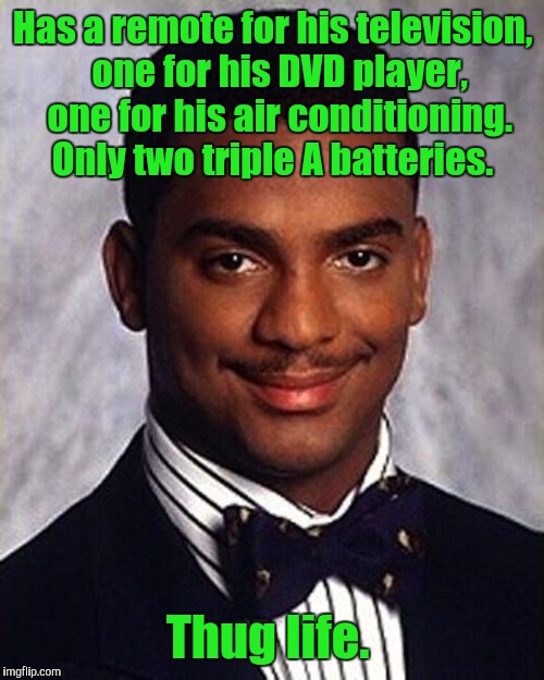 11fenr.jpg | Has a remote for his television,  one for his DVD player,  one for his air conditioning. Only two triple A batteries. Thug life. | image tagged in 11fenrjpg | made w/ Imgflip meme maker