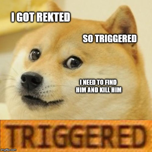 Doge | I GOT REKTED; SO TRIGGERED; I NEED TO FIND HIM AND KILL HIM | image tagged in memes,doge | made w/ Imgflip meme maker