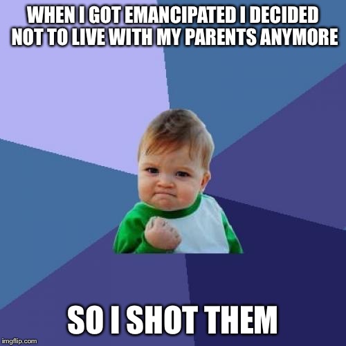 Success Kid Meme | WHEN I GOT EMANCIPATED I DECIDED NOT TO LIVE WITH MY PARENTS ANYMORE; SO I SHOT THEM | image tagged in memes,success kid | made w/ Imgflip meme maker