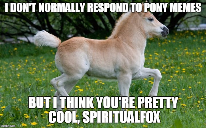 I DON'T NORMALLY RESPOND TO PONY MEMES BUT I THINK YOU'RE PRETTY COOL, SPIRITUALFOX | made w/ Imgflip meme maker