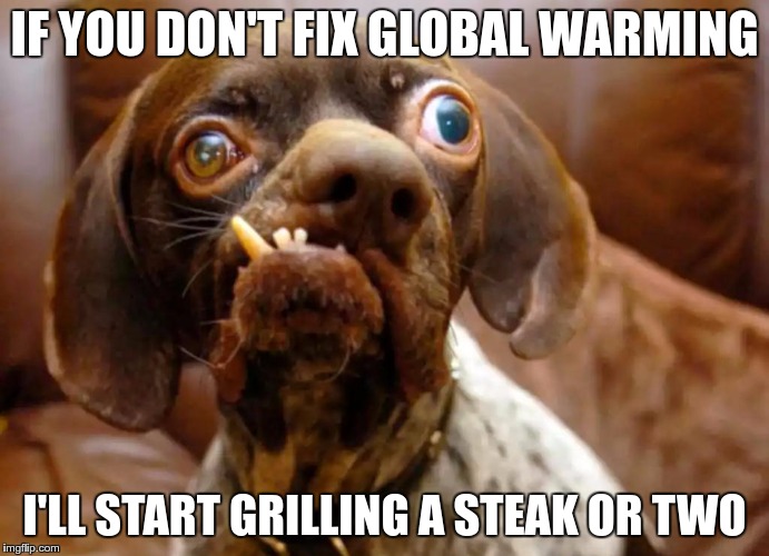 IF YOU DON'T FIX GLOBAL WARMING I'LL START GRILLING A STEAK OR TWO | made w/ Imgflip meme maker