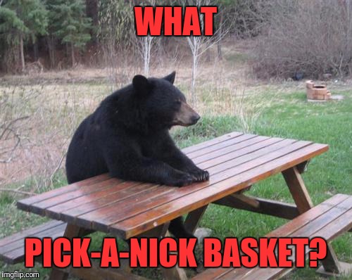 Bad Luck Bear | WHAT; PICK-A-NICK BASKET? | image tagged in memes,bad luck bear | made w/ Imgflip meme maker