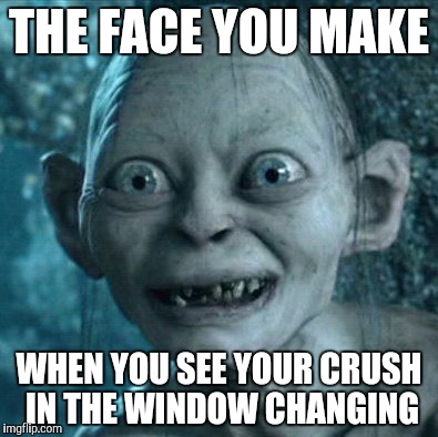 Gollum Meme | THE FACE YOU MAKE; WHEN YOU SEE YOUR CRUSH IN THE WINDOW CHANGING | image tagged in memes,gollum | made w/ Imgflip meme maker